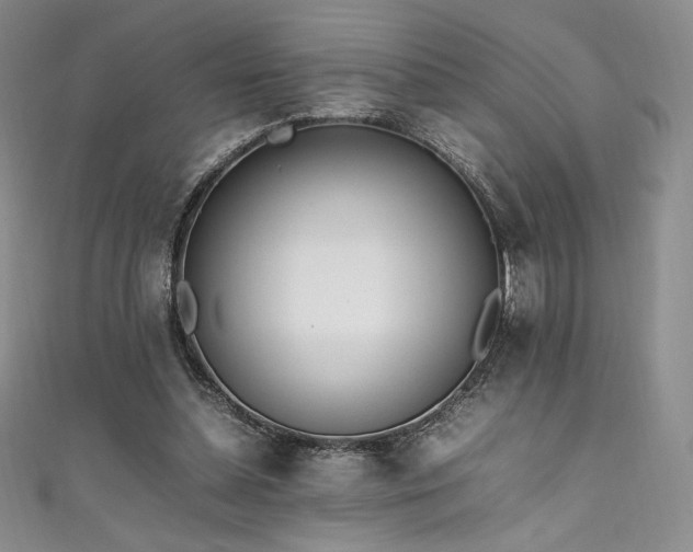 X0000111530348200907141532