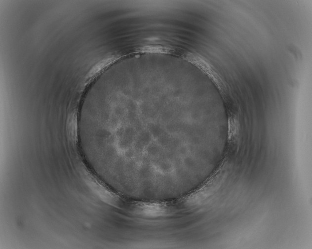 X0000111530349200907141532