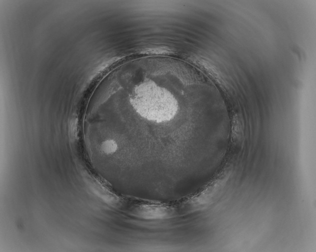 X0000111530351200907141532