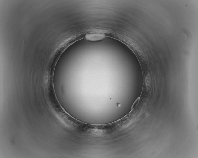 X0000111530352200907141532