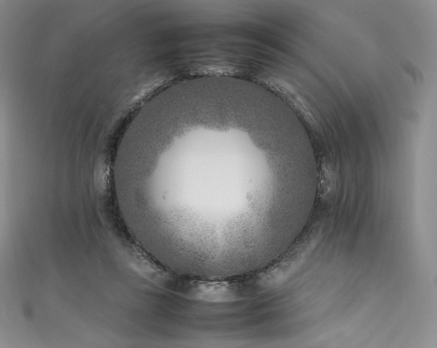 X0000111530355200907141532