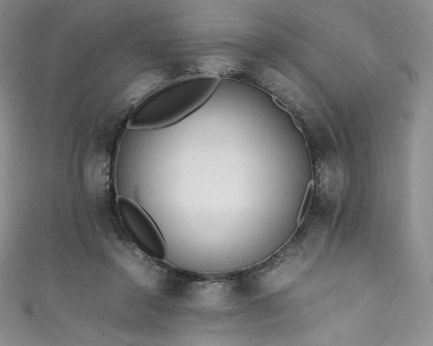 X0000111530356200907141533