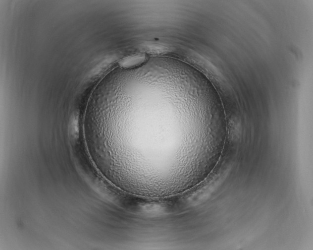 X0000111530358200907141533