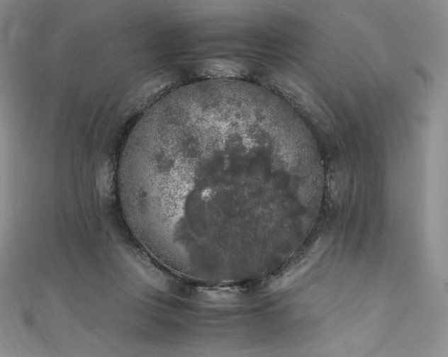 X0000111530359200907141533