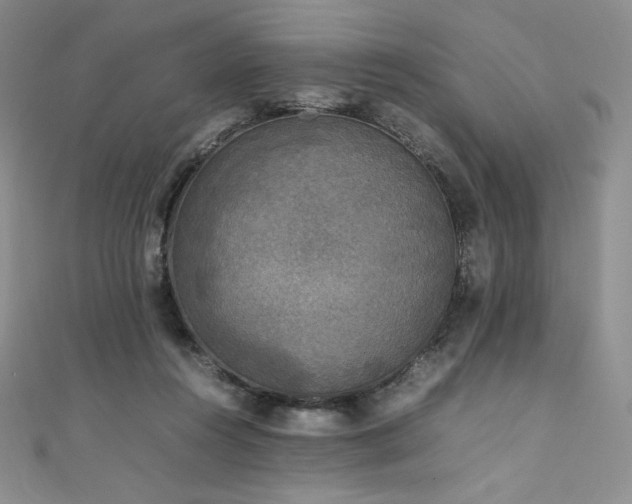 X0000111530360200907141533