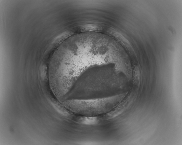 X0000111530361200907141533