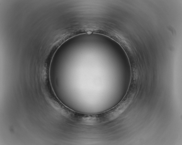 X0000111530362200907141533