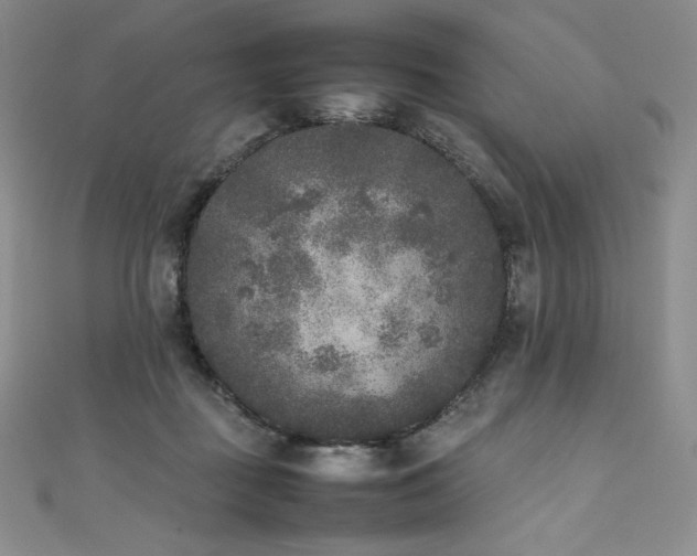 X0000111530363200907141533