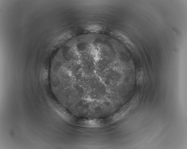 X0000111530365200907141533