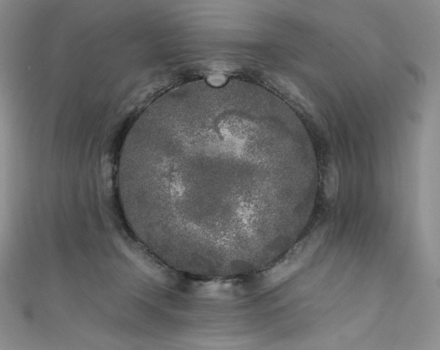 X0000111530366200907141533