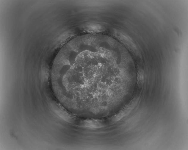 X0000111530367200907141533