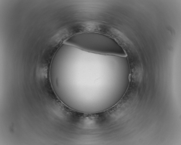 X0000111530368200907141533