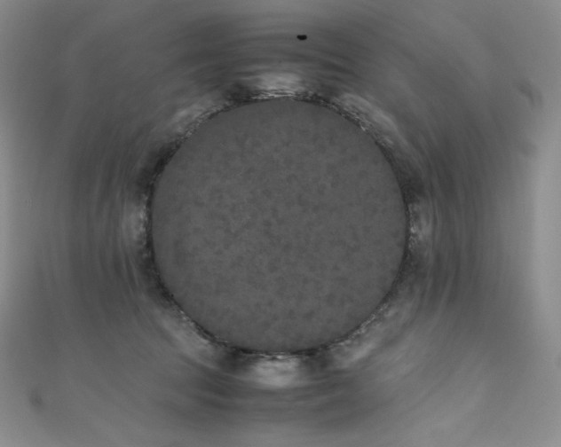 X0000111530369200907141533