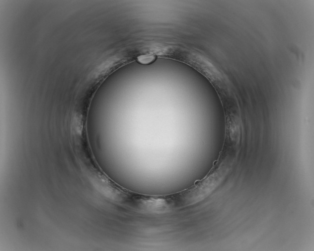 X0000111530374200907141533