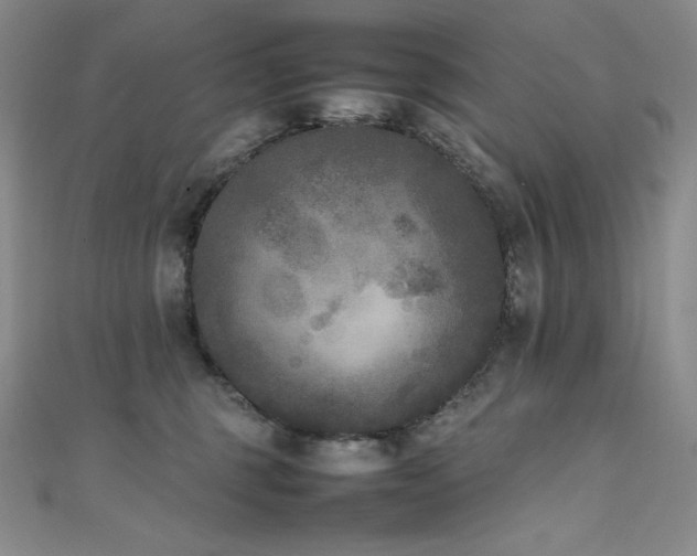 X0000111530375200907141533