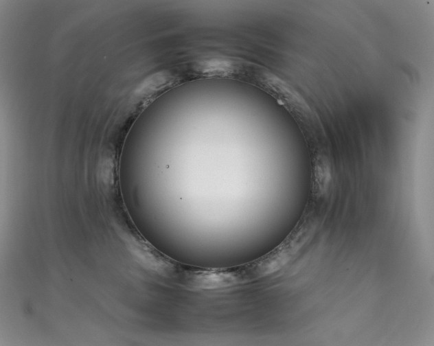 X0000111530379200907141533