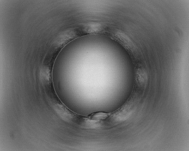 X0000111530380200907141533