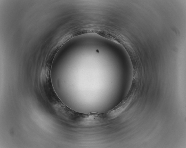 X0000111530382200907141533