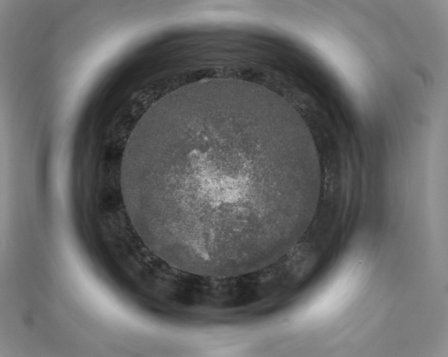 X0000111530383200907141533