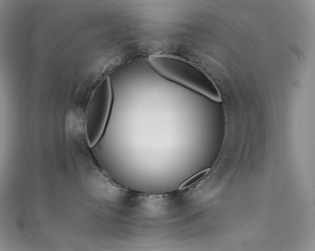 X0000111530384200907141533