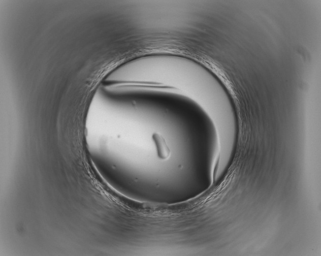 X0000111530385200907141532