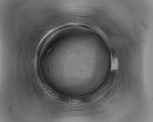 X0000111530387200907141532