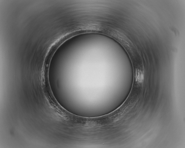 X0000111530388200907141532