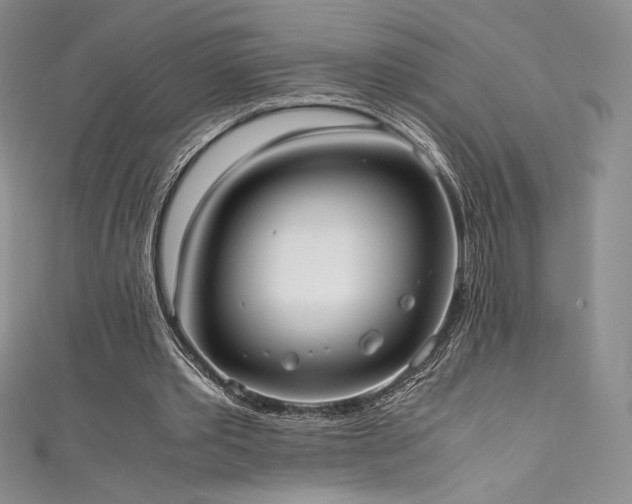 X0000111530389200907141532