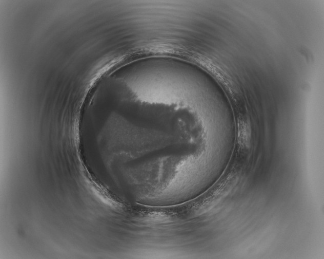 X0000111530390200907141532