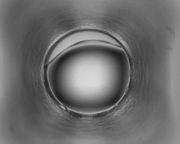 X0000111530391200907141532