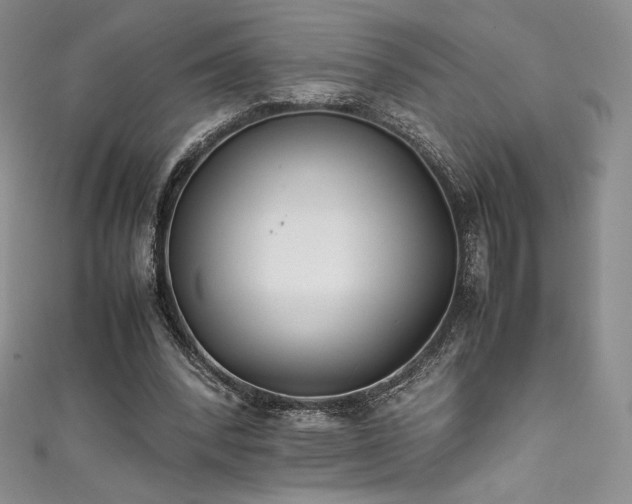 X0000111530392200907141532