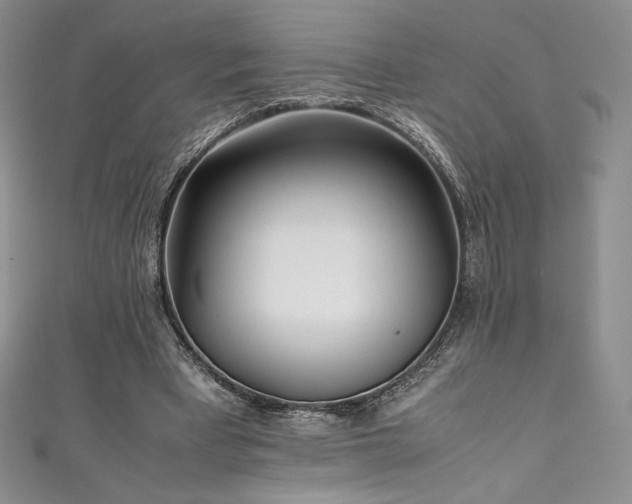 X0000111530393200907141532