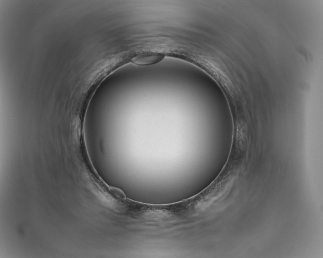 X0000111530397200907141532