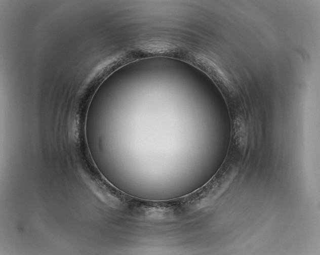 X0000111530400200907141532