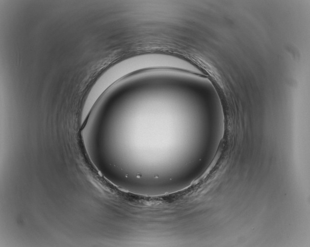 X0000111530401200907141532