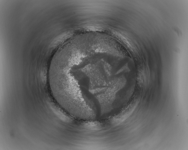 X0000111530402200907141532