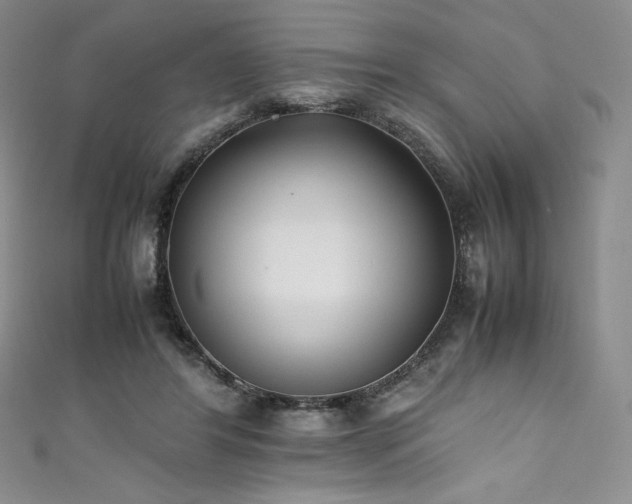 X0000111530404200907141532