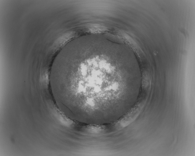 X0000111530405200907141532