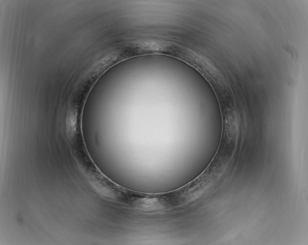 X0000111530406200907141532