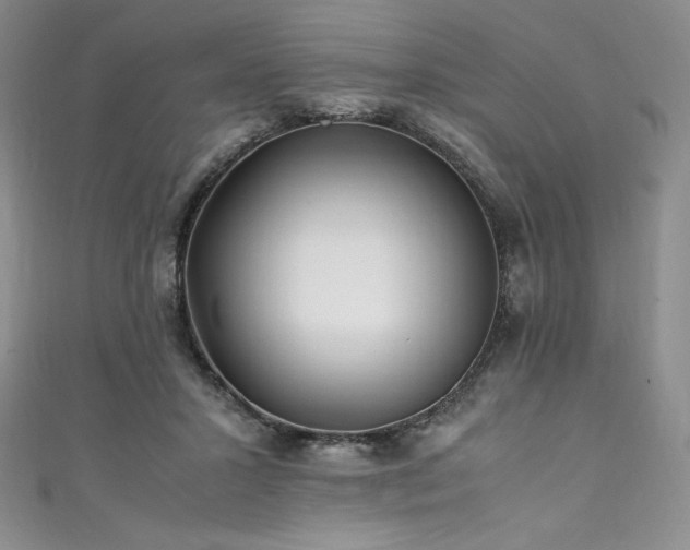 X0000111530407200907141532