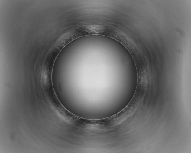 X0000111530408200907141532