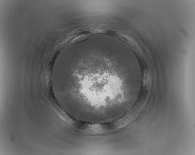 X0000111530409200907141532