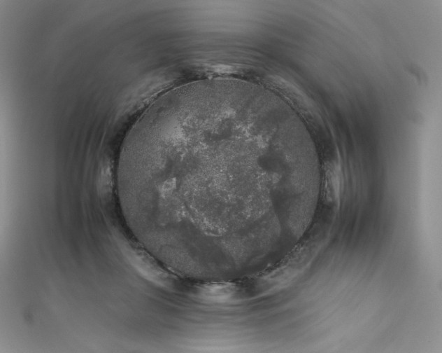 X0000111530410200907141532