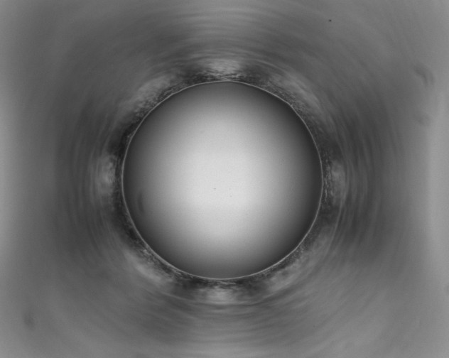 X0000111530412200907141532