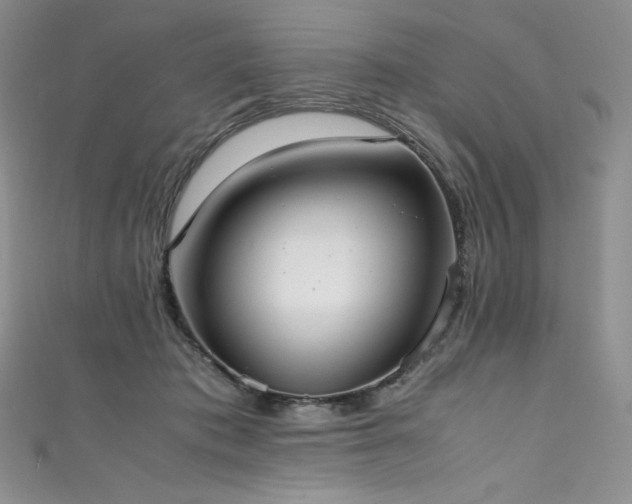 X0000111530413200907141532