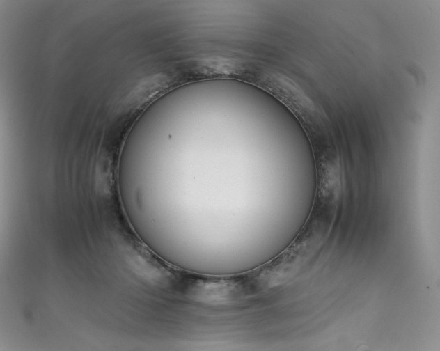 X0000111530414200907141532