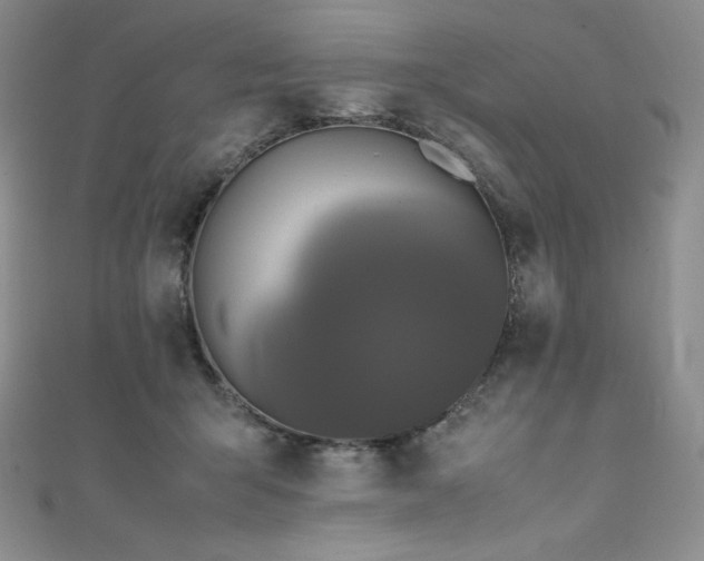 X0000111530415200907141532