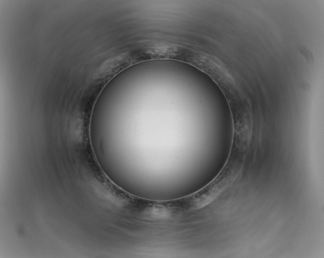 X0000111530416200907141532