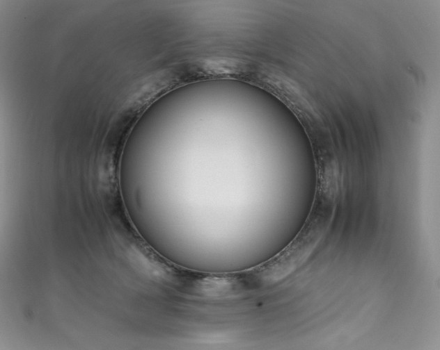 X0000111530418200907141532