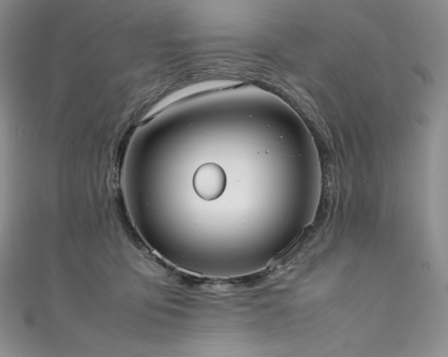 X0000111530419200907141532